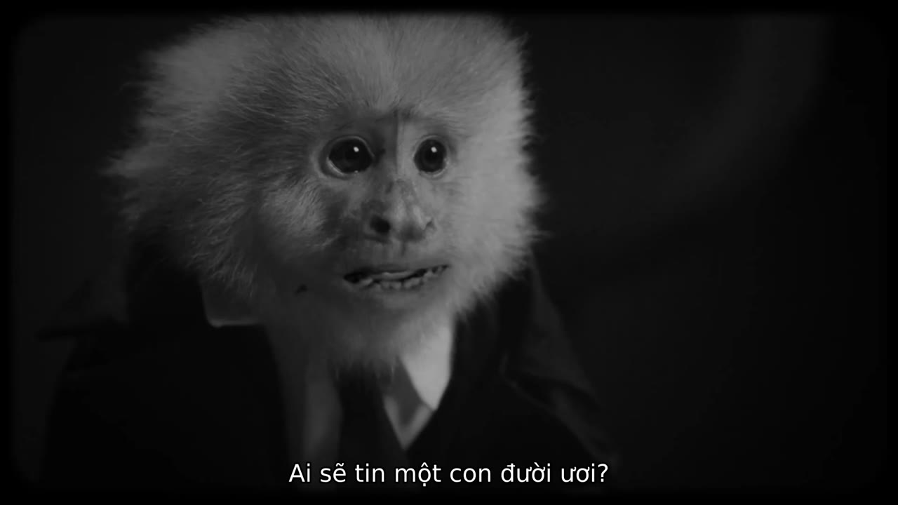 JACK ĐÃ LÀM GÌ? tập 1 cảnh 2