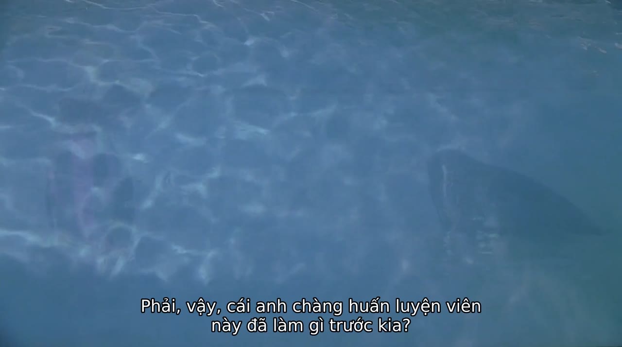 Giải Cứu Willy: Thoát Khỏi Vịnh Hải Tặc tập 1 cảnh 2