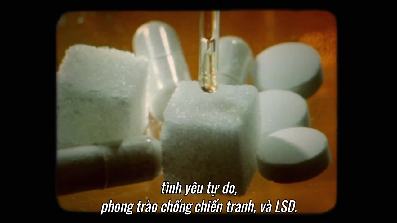 Nhập Môn Lịch Sử (Phần 2) tập 4 cảnh 2
