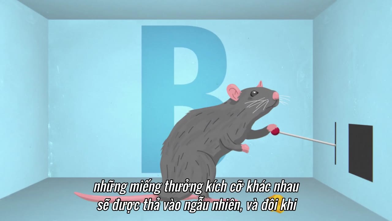 Nhập Môn Lịch Sử (Phần 2) tập 6 cảnh 2
