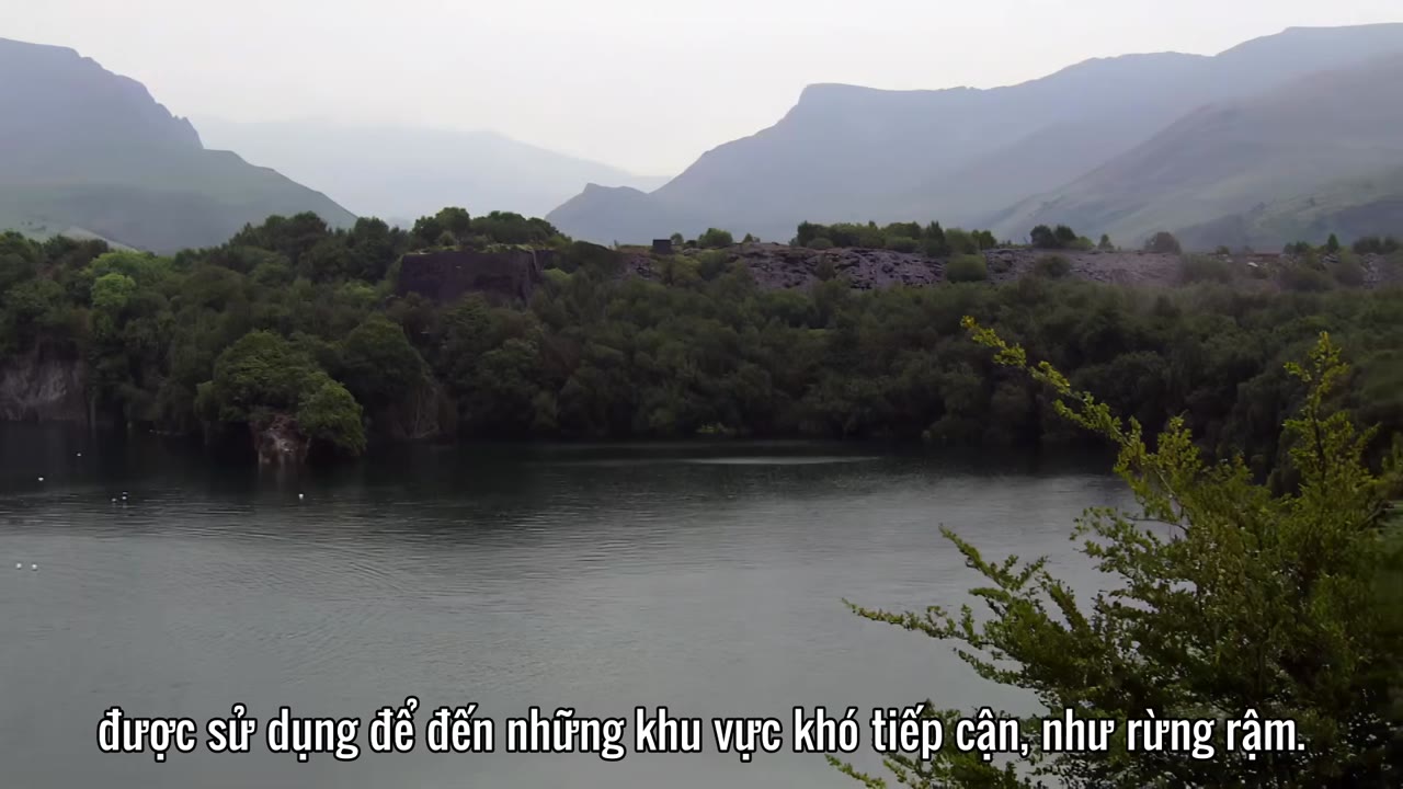 Trường Học Sinh Tồn tập 17