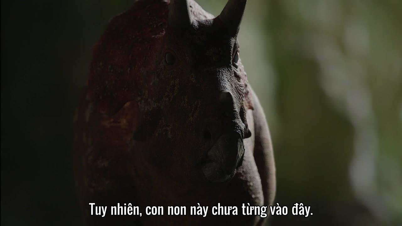 Hành Tinh Thời Tiền Sử tập 5
