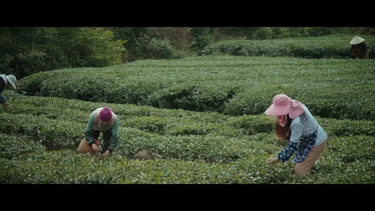 Đôi Mắt Thâm Tình tập 21 cảnh 3