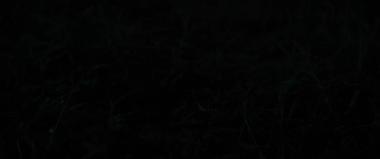 Con mồi tập 1