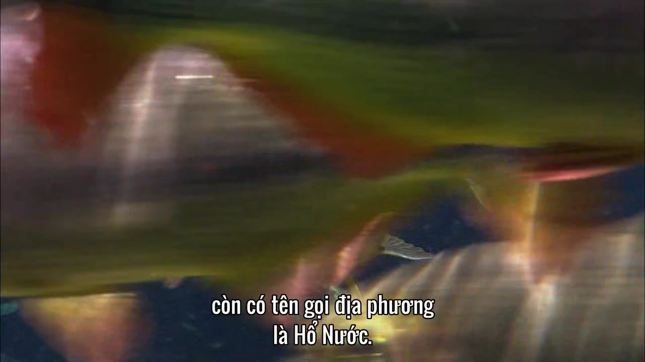 Hành Trình Trái Đất tập 3 cảnh 3