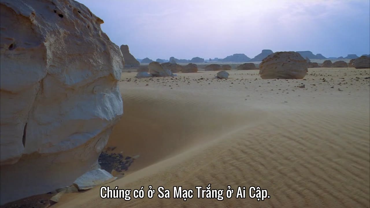 Hành Trình Trái Đất tập 5