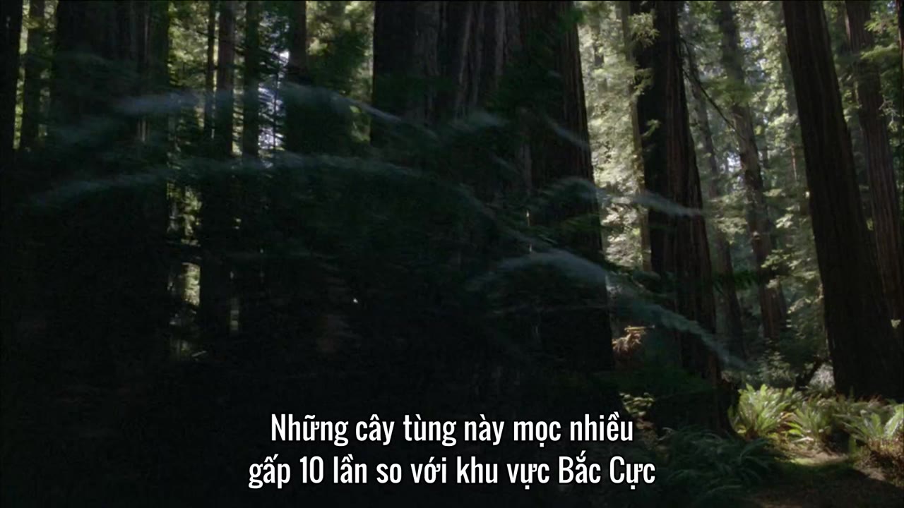 Hành Trình Trái Đất tập 10