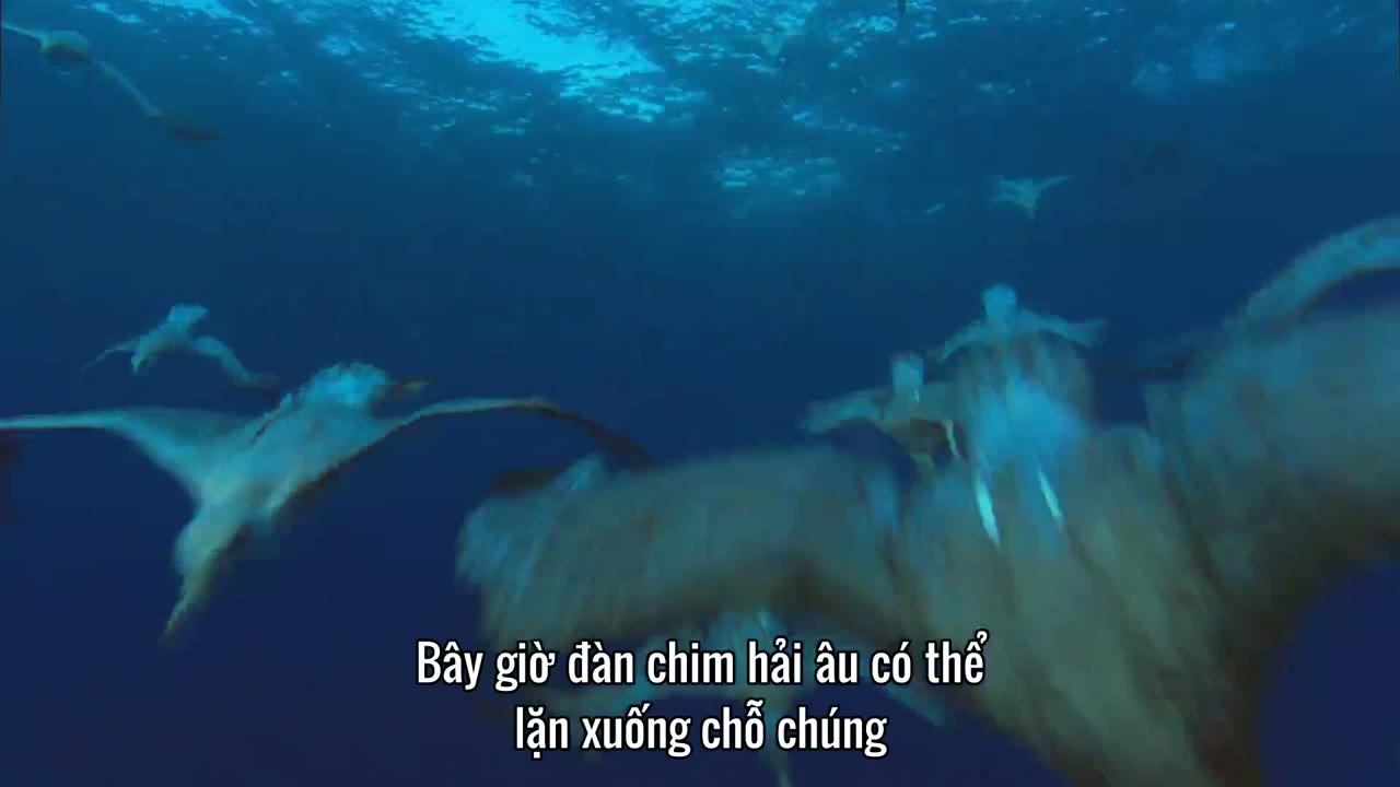 Hành Trình Trái Đất tập 11