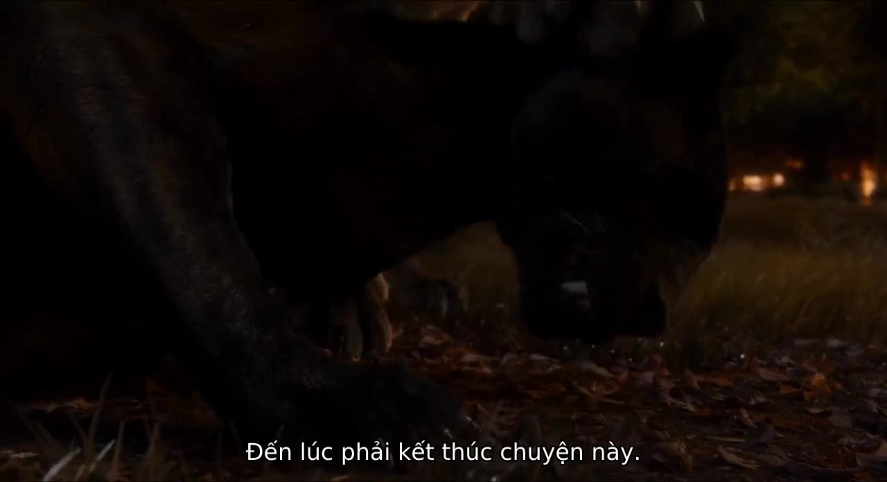 Cậu Bé Rừng Xanh tập 1 cảnh 3