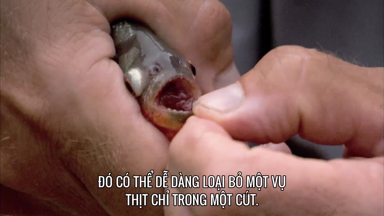 Thủy Quái (Phần 1) tập 1