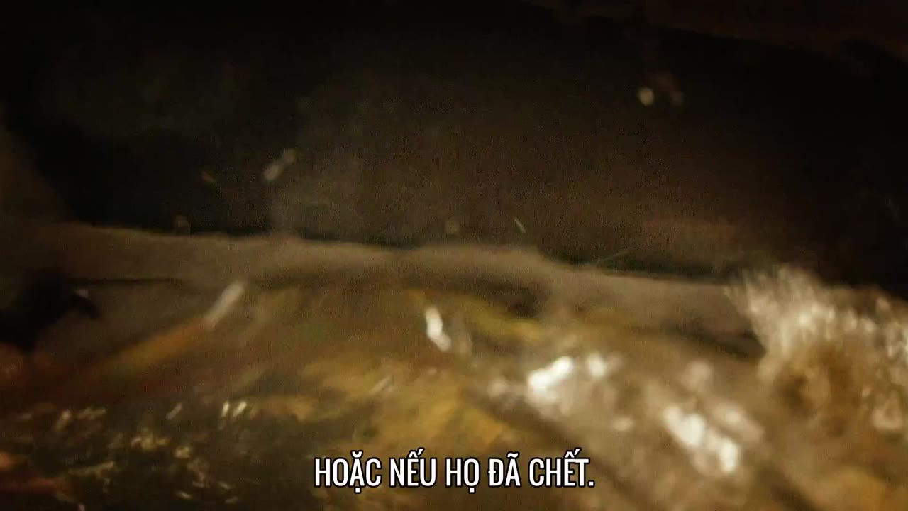 Thủy Quái (Phần 1) tập 1 cảnh 2