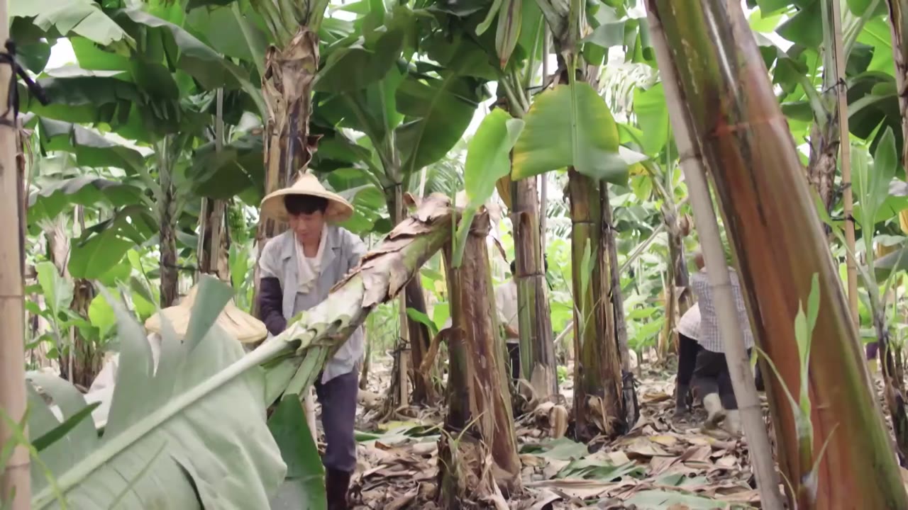 Câu Chuyện Tình Yêu tập 2 cảnh 2