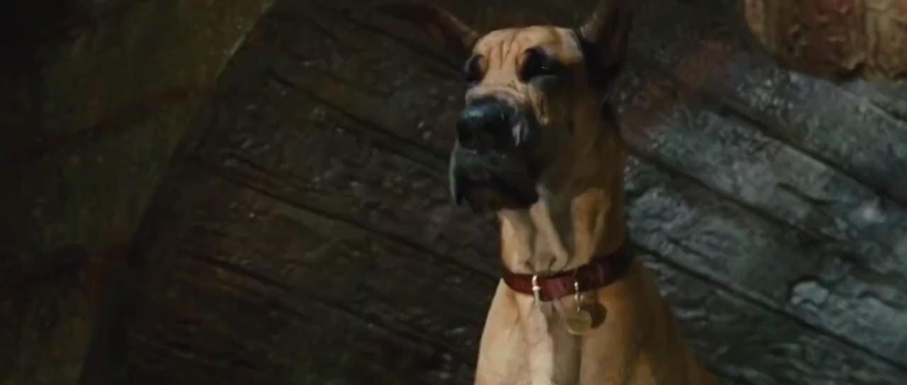 Marmaduke: Khuấy Động Mùa Hè tập 1 cảnh 3