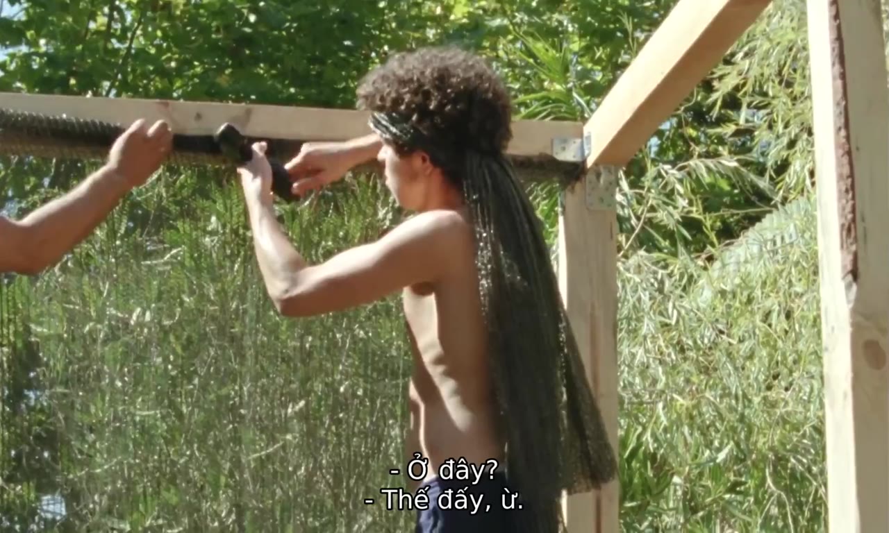 The Tsugua Diaries tập 1