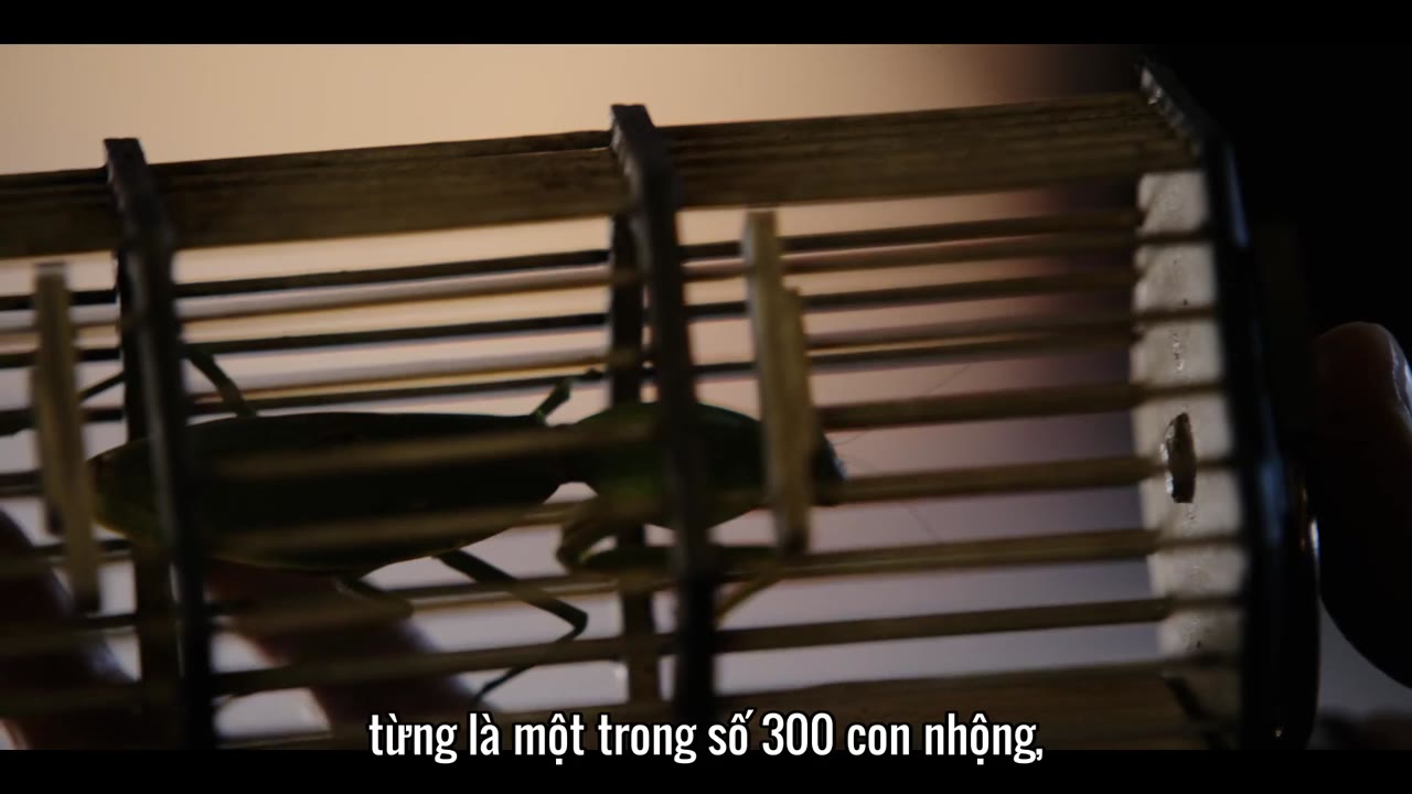 Nhà Thám Hiểm Marco Polo (Phần 2) tập 9 cảnh 2