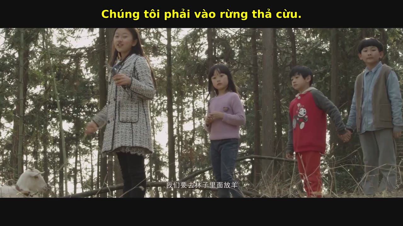 Tìm gốc tập 1 cảnh 3
