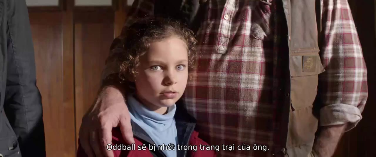 Chú Chó OddBall tập 1