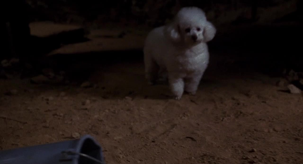 The Silence of the Lambs - cảnh 3