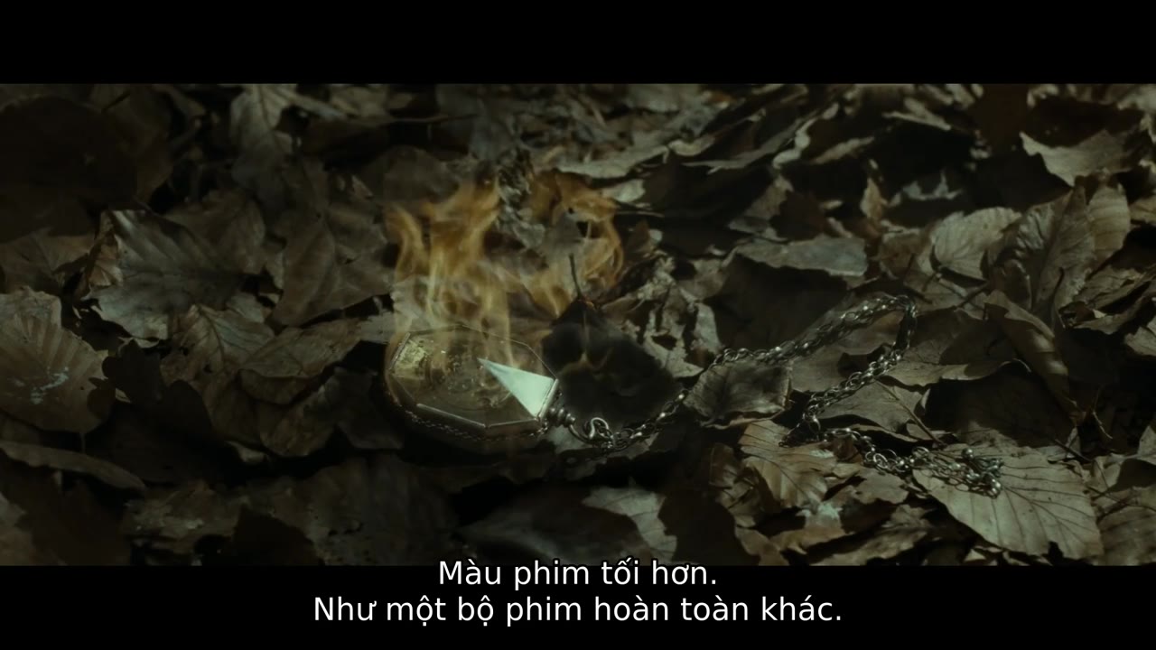 Kỷ Niệm 20 Năm Harry Potter: Tựu Trường Hogwarts tập 1 cảnh 3