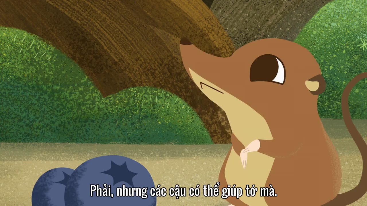 Núi Hải Âu (Phần 1) tập 13