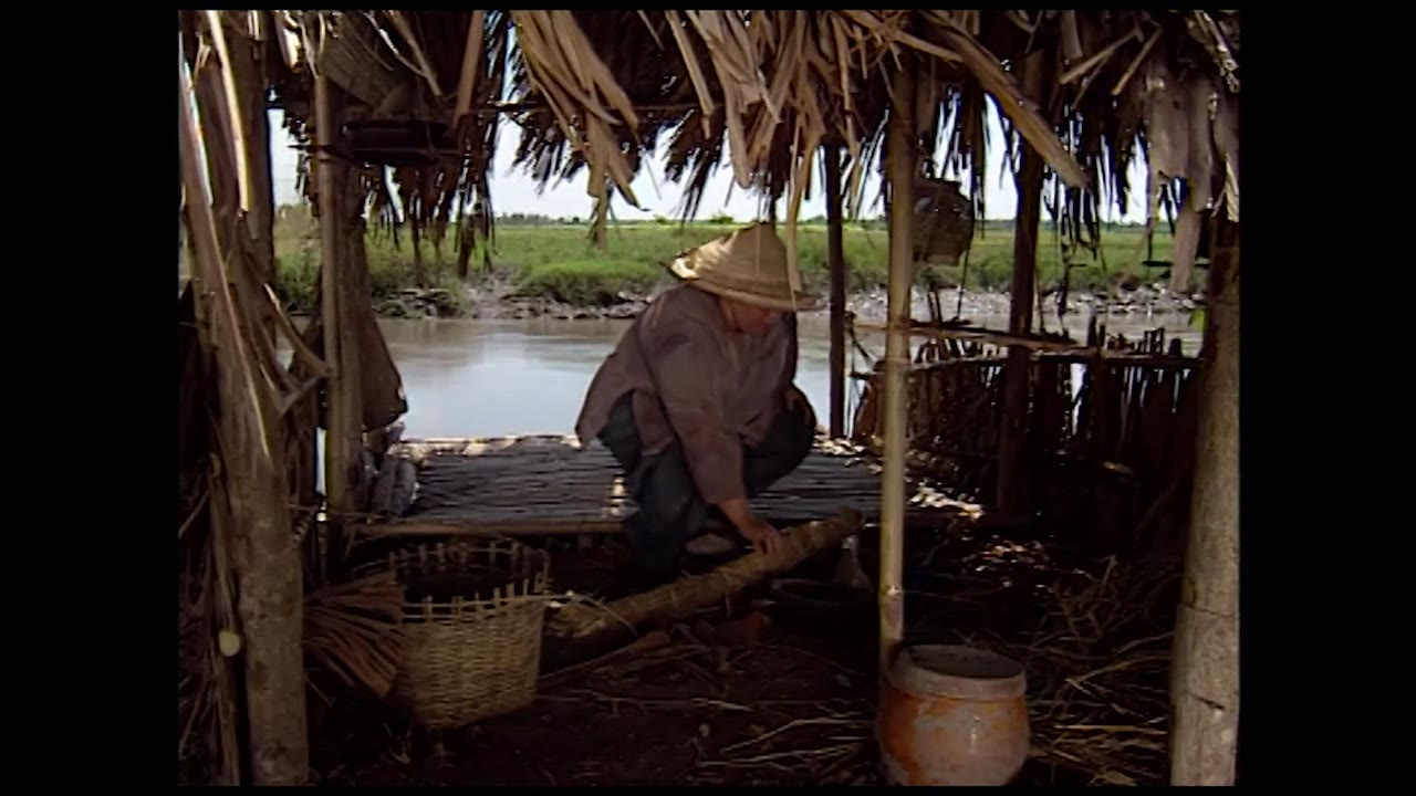 Đất phương Nam tập 5