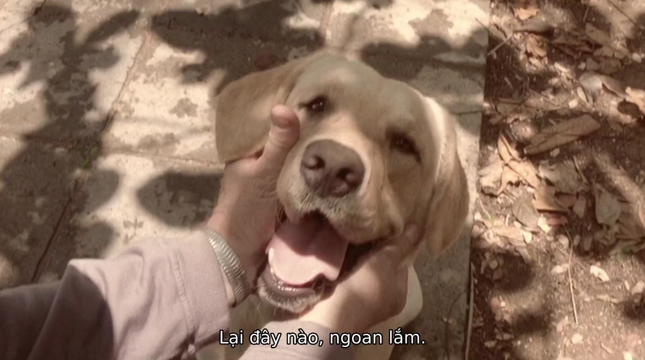 Tình nghi tập 1