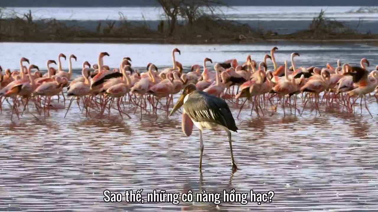 Hành tinh kỳ quái tập 1 cảnh 3