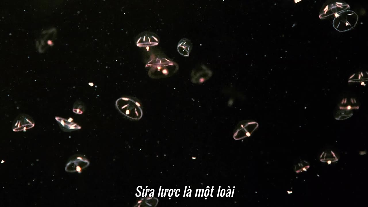 Hành tinh kỳ quái tập 2