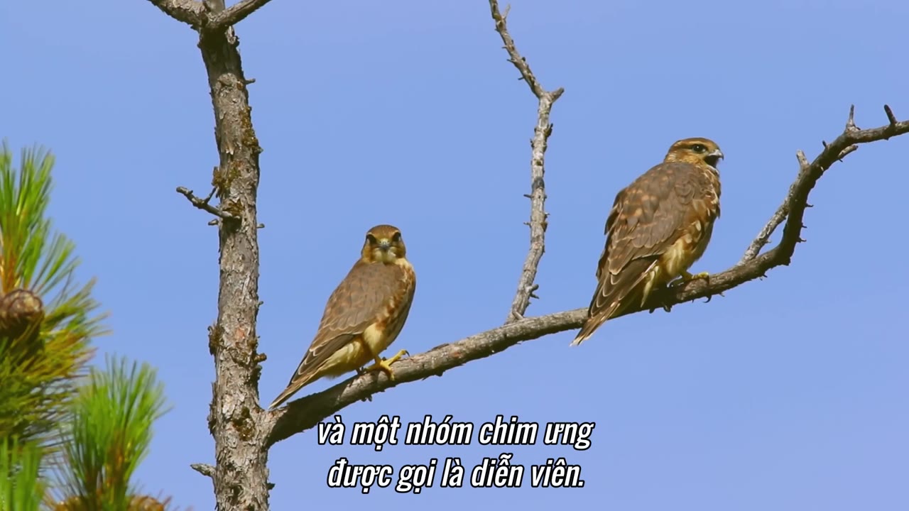 Hành tinh kỳ quái tập 2 cảnh 2