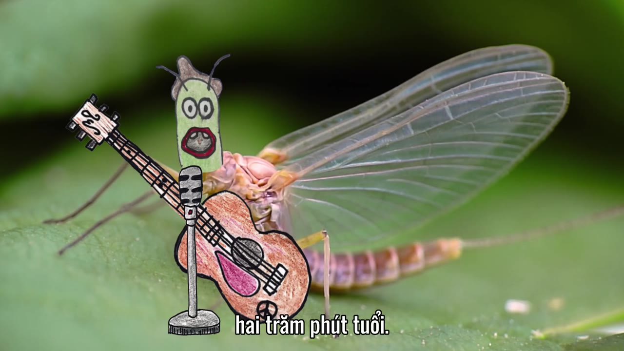 Hành tinh kỳ quái tập 4 cảnh 3