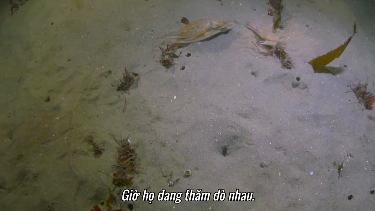 Hành tinh kỳ quái tập 5 cảnh 3