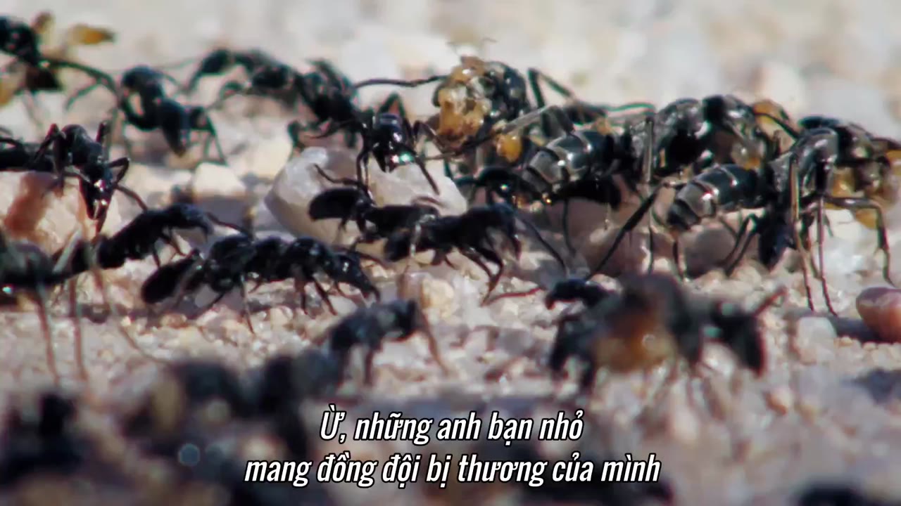 Hành tinh kỳ quái tập 6 cảnh 3