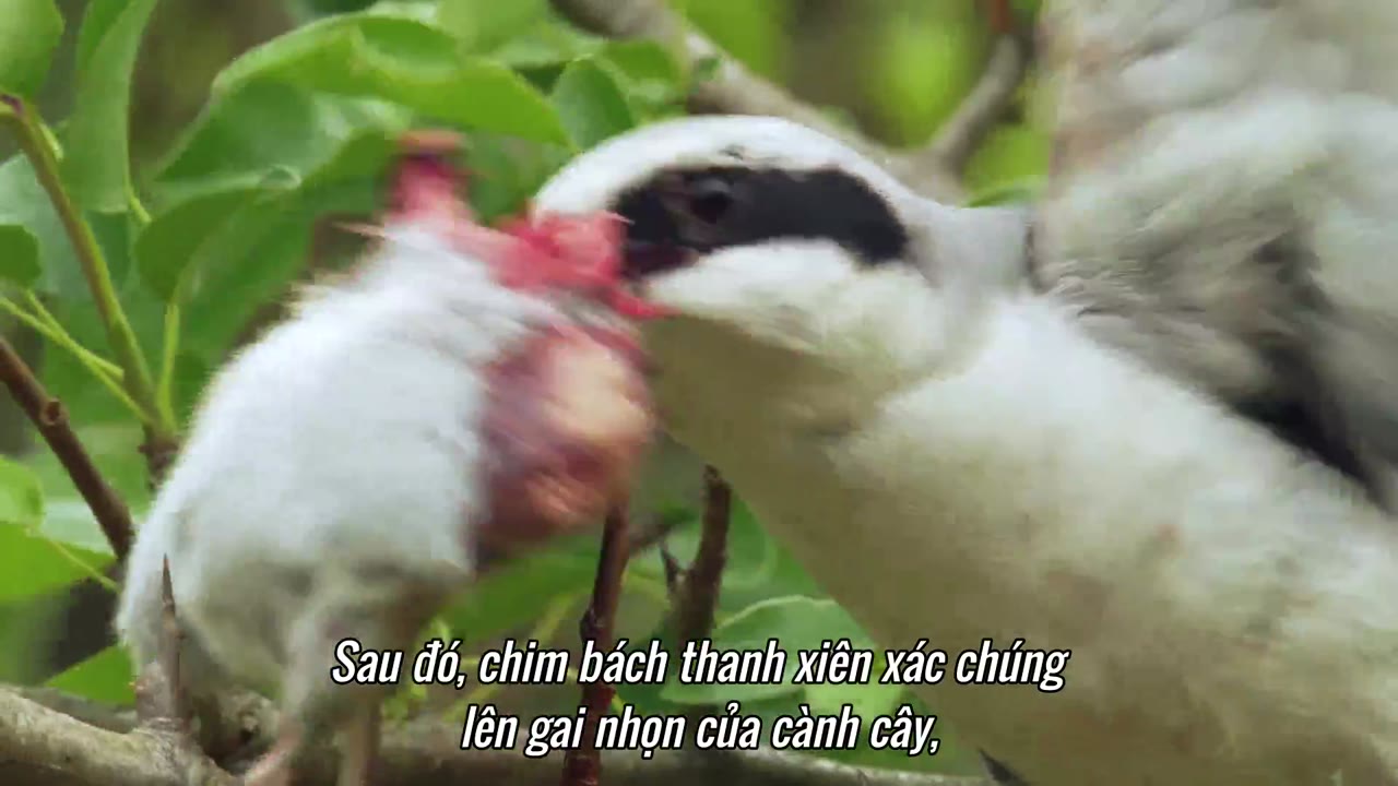 Hành tinh kỳ quái tập 8 cảnh 2