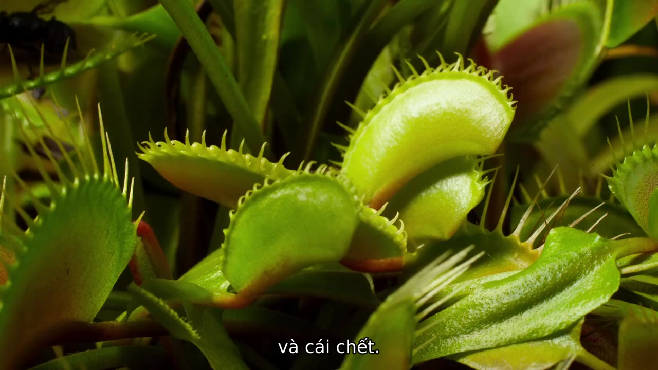 Trái Đất: Một Ngày Tuyệt Vời tập 1