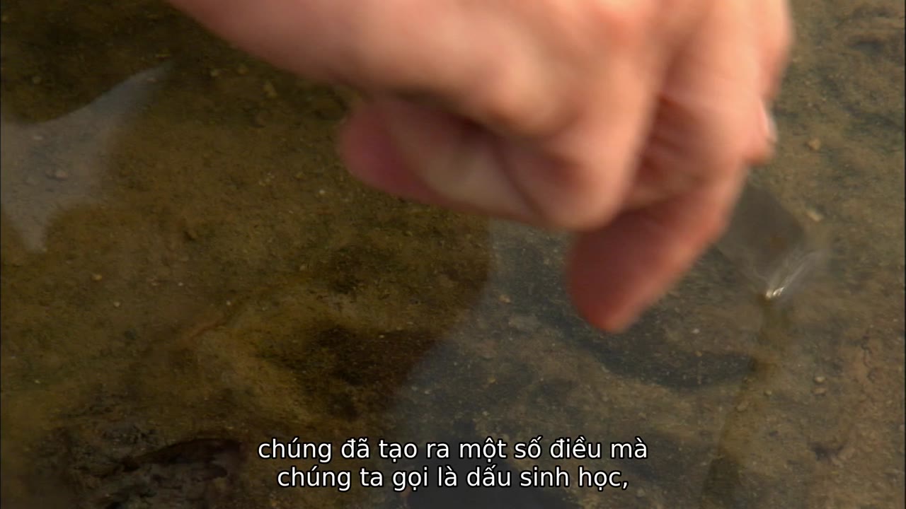 Ancient Aliens (Phần 1) tập 5