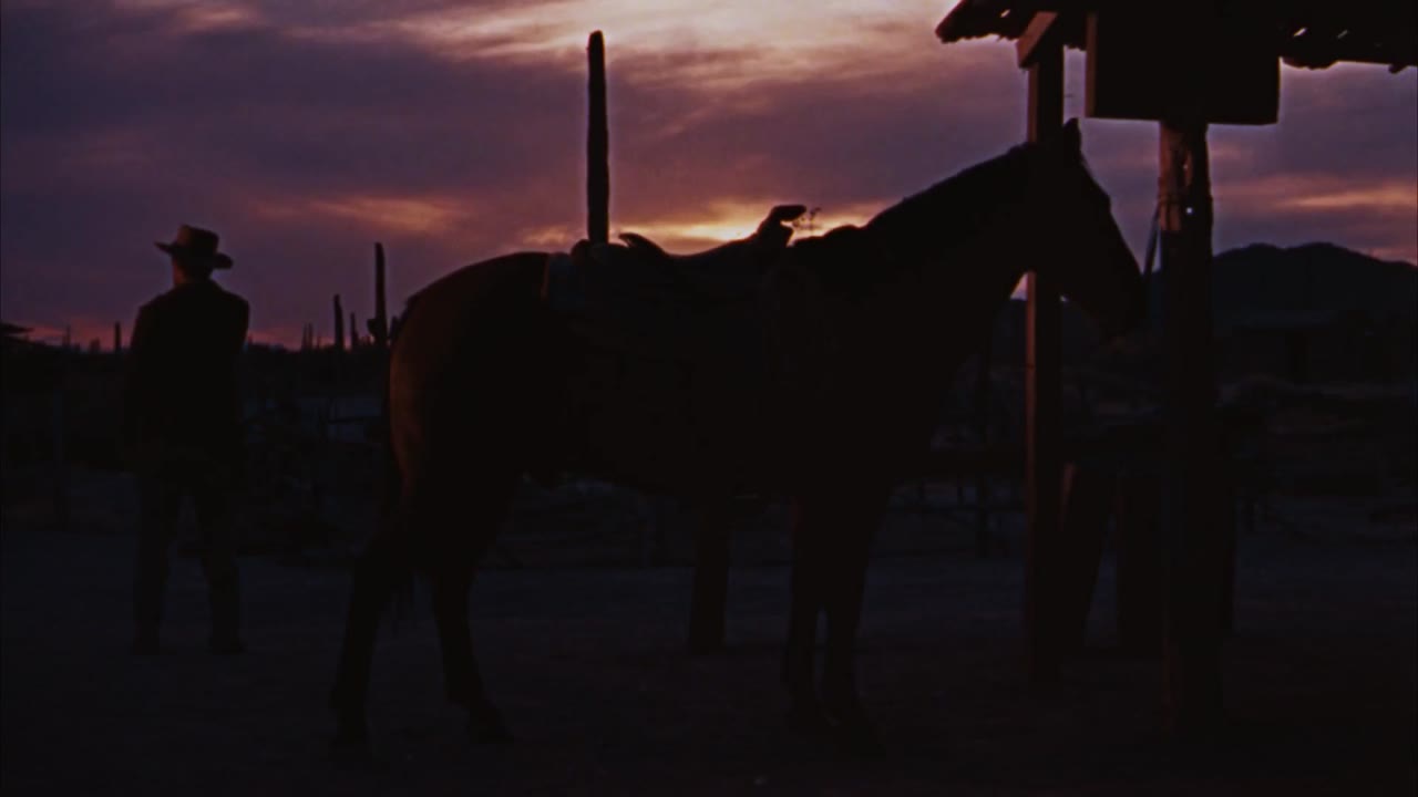 Thị Trấn Rio Bravo - cảnh 2