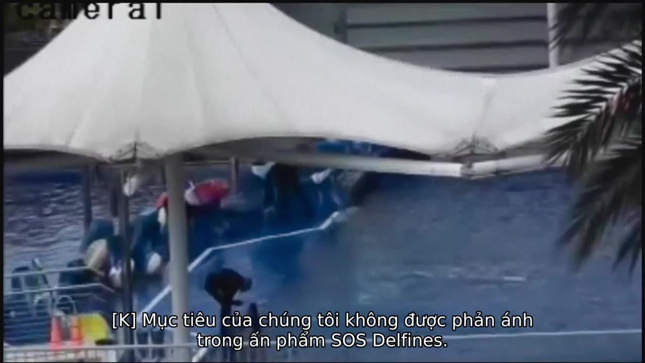Vua cá heo cuối cùng tập 1 cảnh 3
