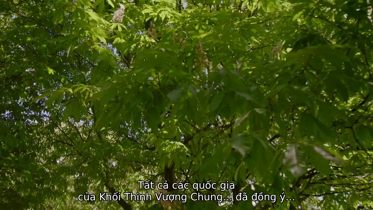 Tưởng Nhớ Nữ Hoàng Elizabeth II tập 1 cảnh 3