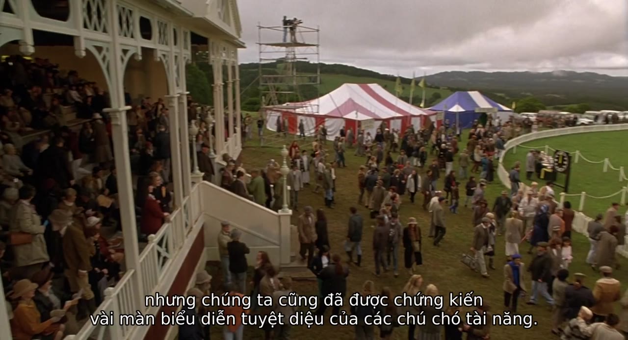 Chú Heo Chăn Cừu - cảnh 3