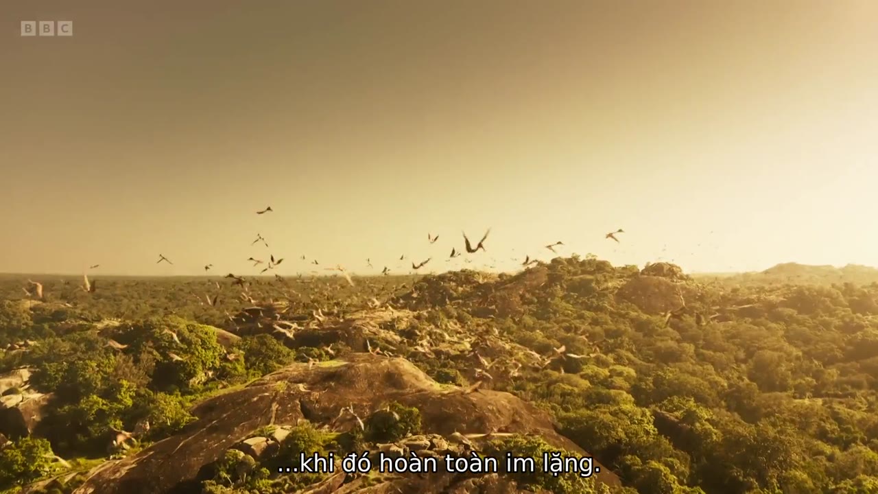 Dinosaurs: The Final Day with David Attenborough tập 1 cảnh 3