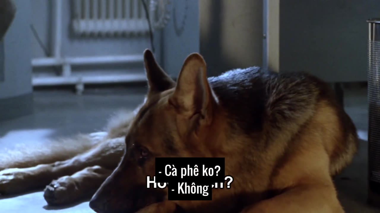 Chú Chó Thám Tử Rex tập 5