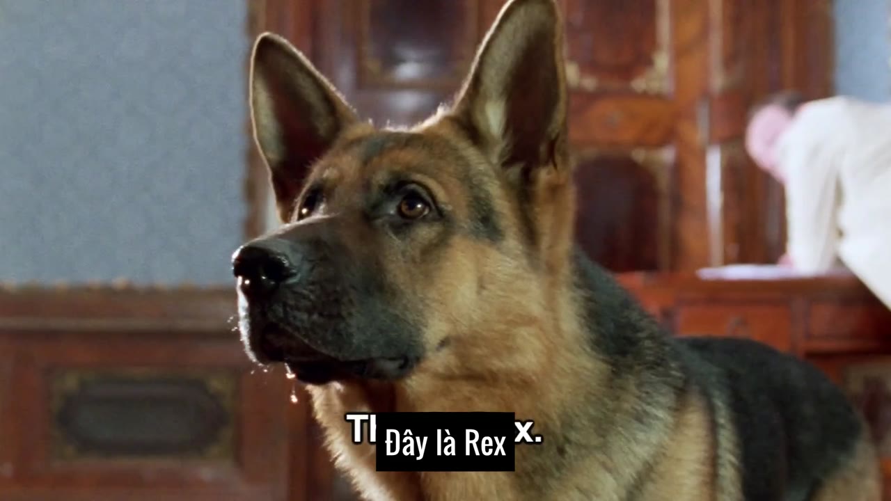 Chú Chó Thám Tử Rex tập 5 cảnh 2
