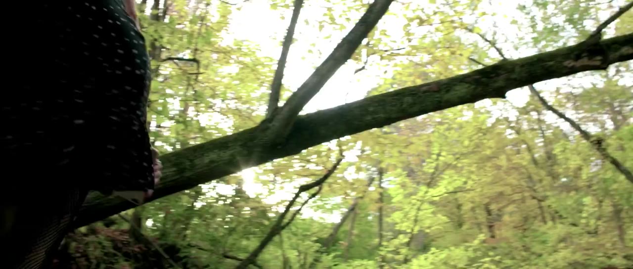Don't Fuck in the Woods 2 tập 1