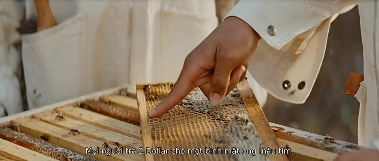 Tìm Lại Yêu Thương - cảnh 2