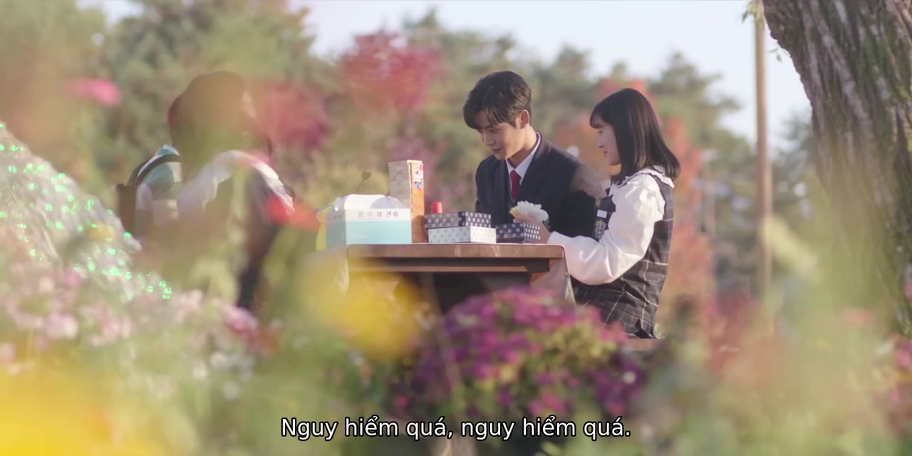 Vô Tình Tìm Thấy Haru tập 14 cảnh 2