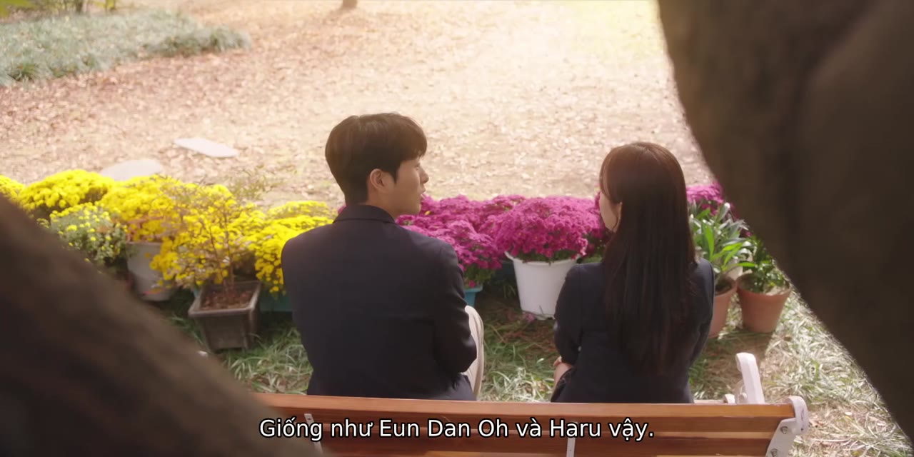 Vô Tình Tìm Thấy Haru tập 14 cảnh 3