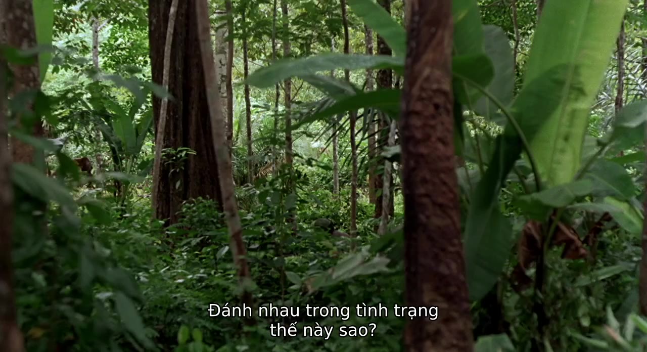 Chào Buổi Sáng, Việt Nam tập 1 cảnh 3