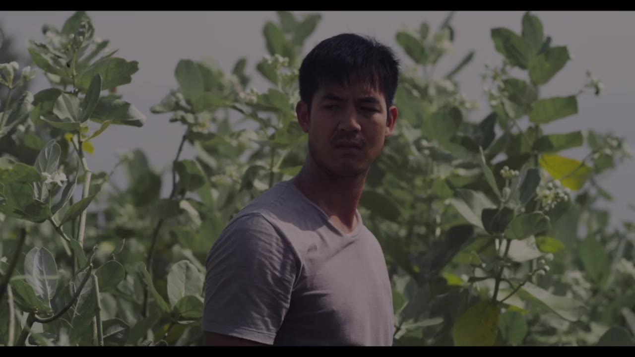 Malila: Bông hoa chia tay tập 1