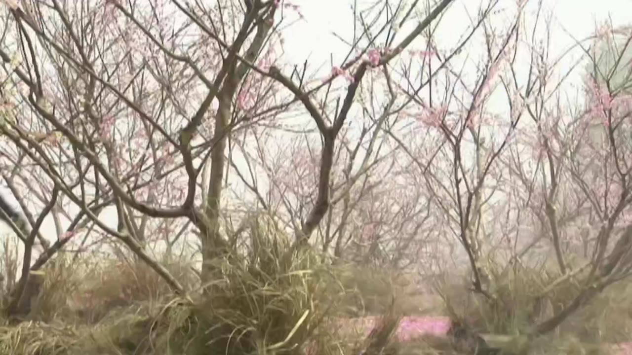 Anh Hùng Xạ Điêu (2003) tập 19 cảnh 2