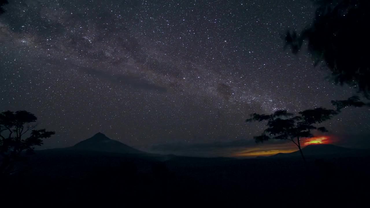 Virunga tập 1